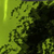 Green Static